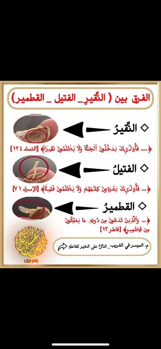 ▪️ابن زيدون 🖋 🇸🇦 tweet media