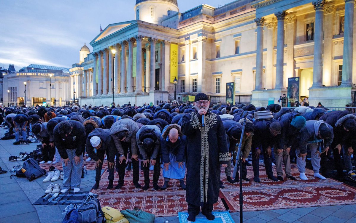 Steve 🇬🇧 tweet media