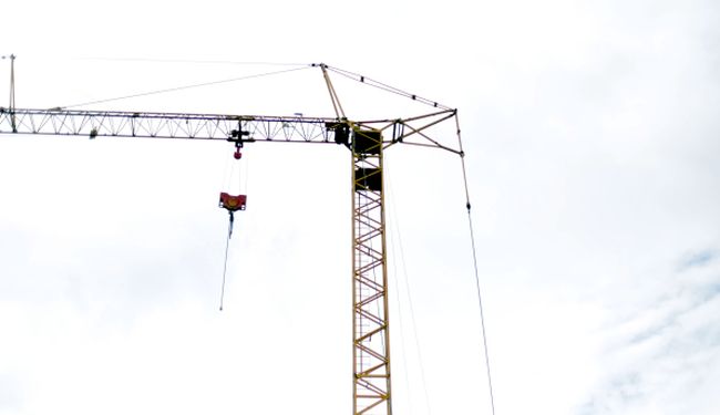 Lupiga.Com tweet media