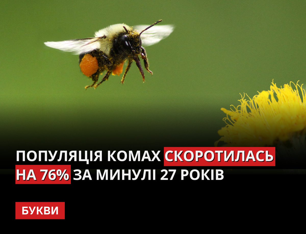 Букви tweet media