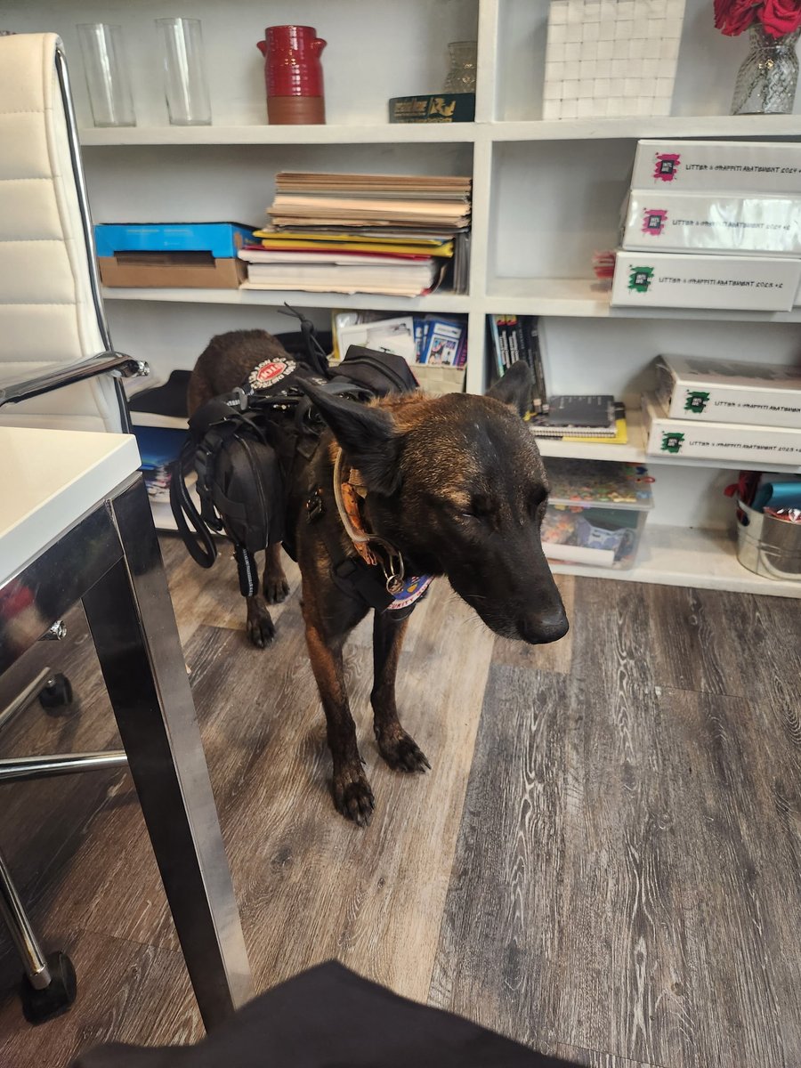 𝟏𝟐 𝐂𝐨𝐦𝐦𝐮𝐧𝐢𝐭𝐲 𝐒𝐚𝐟𝐞𝐭𝐲 tweet media