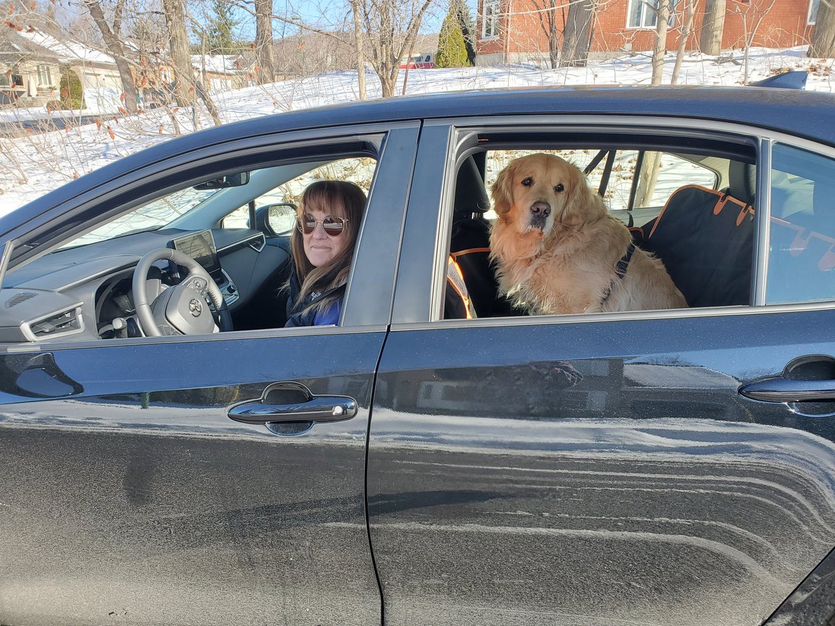 Gaspard et son humaine tweet media