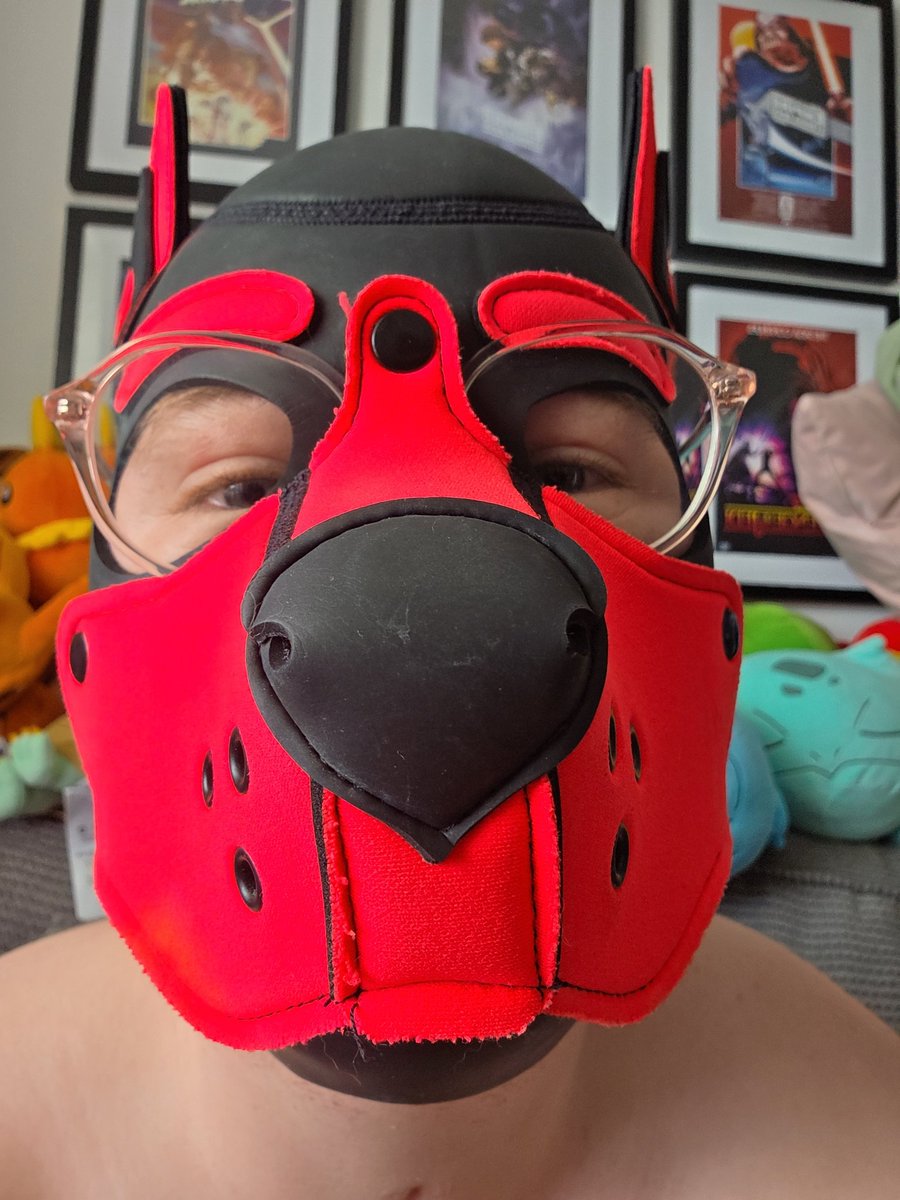Pup_Bitsy tweet media
