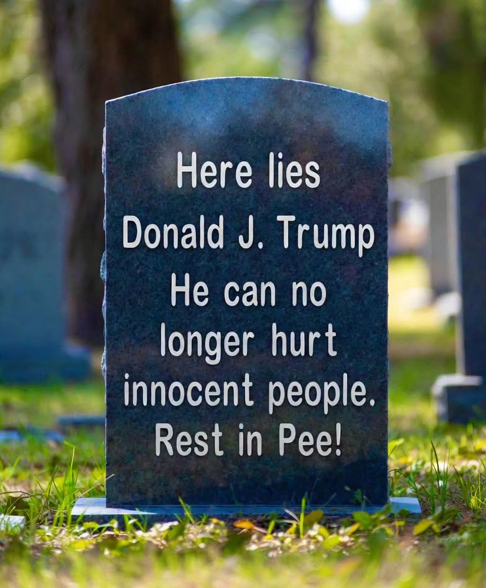 Pissed off American Voter💙💙💙🌊🌊🌊🌊 tweet media