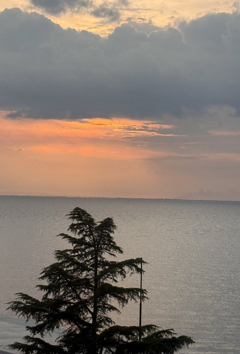 𝓝𝓪𝓽𝓪𝓼𝓪 🩷 tweet media