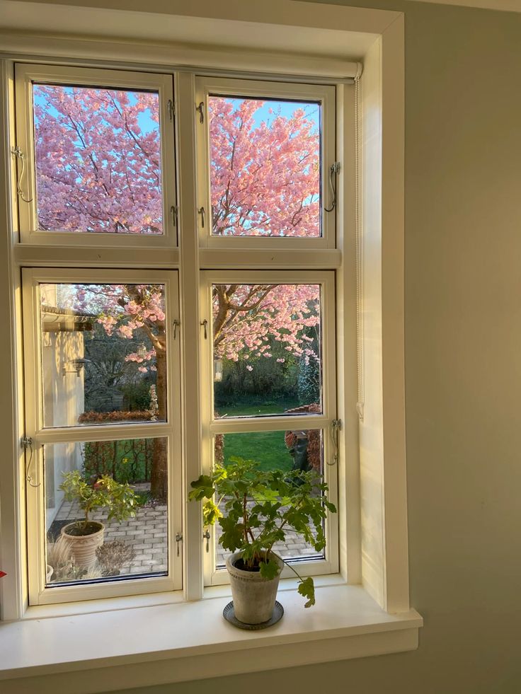 only aesthetic tweet media