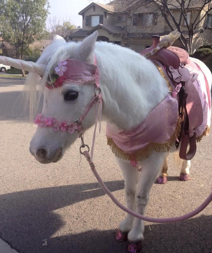 Chess.com tweet media