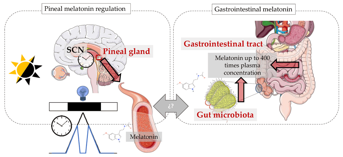 George Ferman tweet media