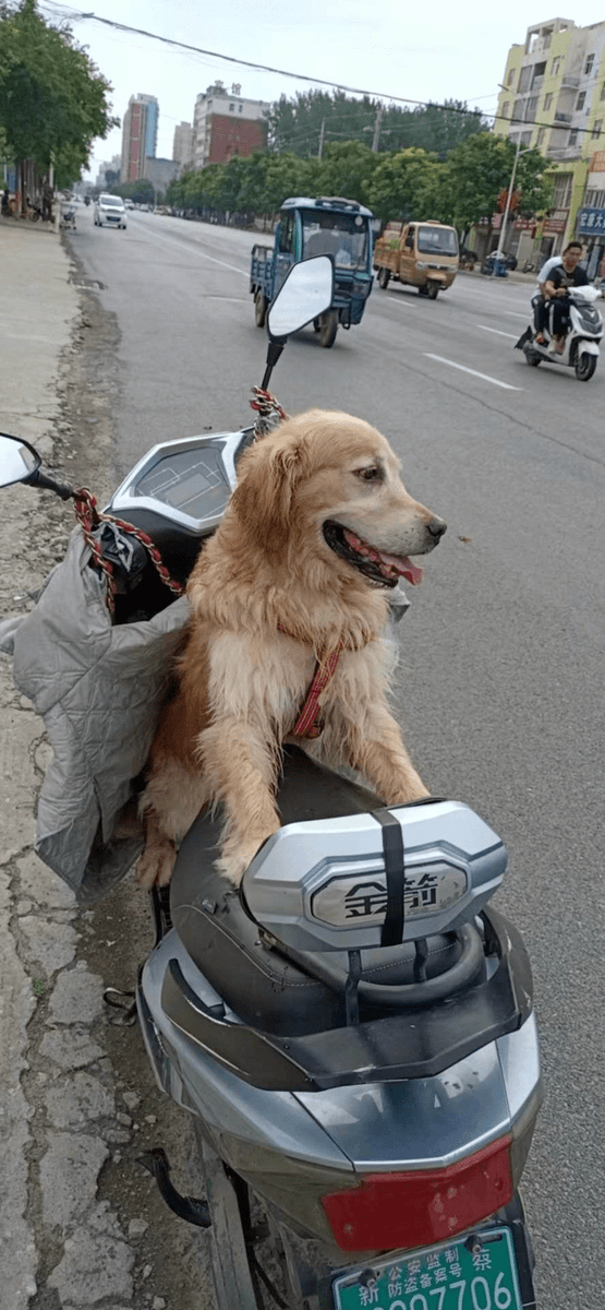 seunakeredolu tweet media