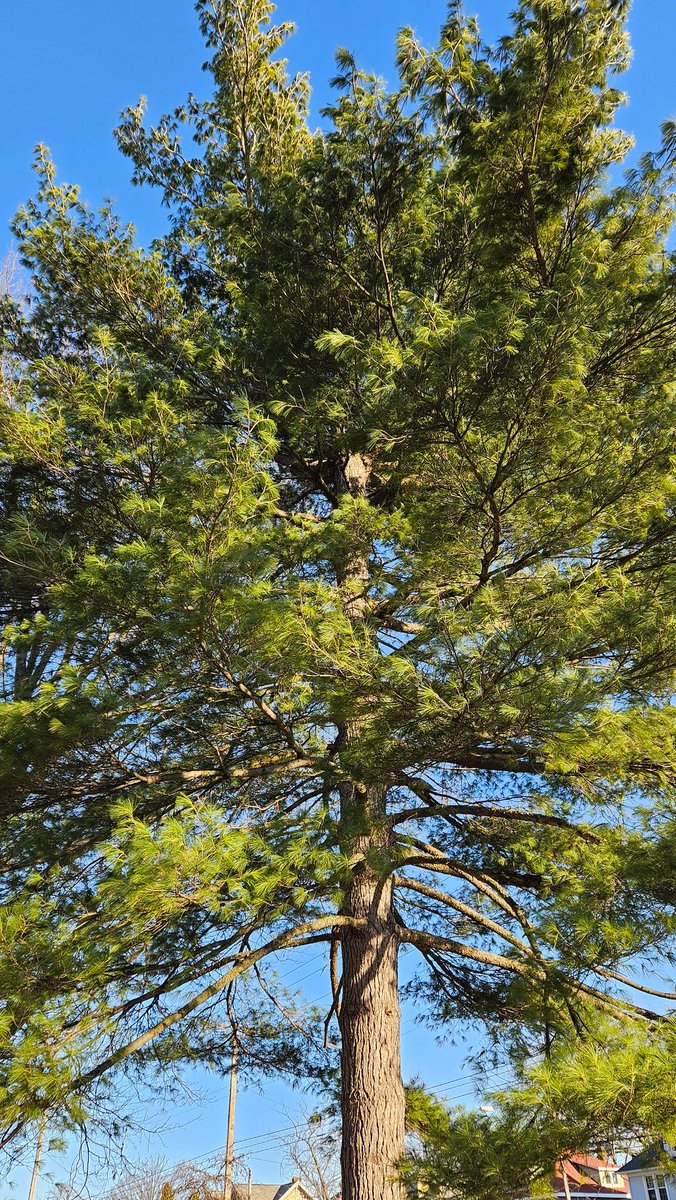 John R Moniak III tweet media