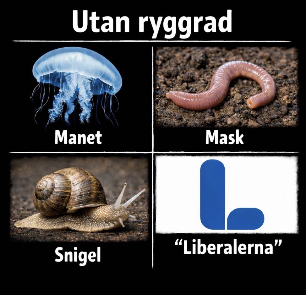 Anders Ohlsson tweet media