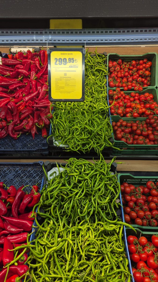 Prof. Veysel Ulusoy tweet media