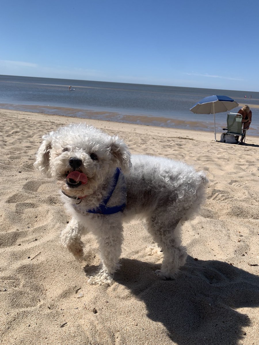 𝔡𝔢𝔩𝔣𝔦𝔦. ☽ tweet media