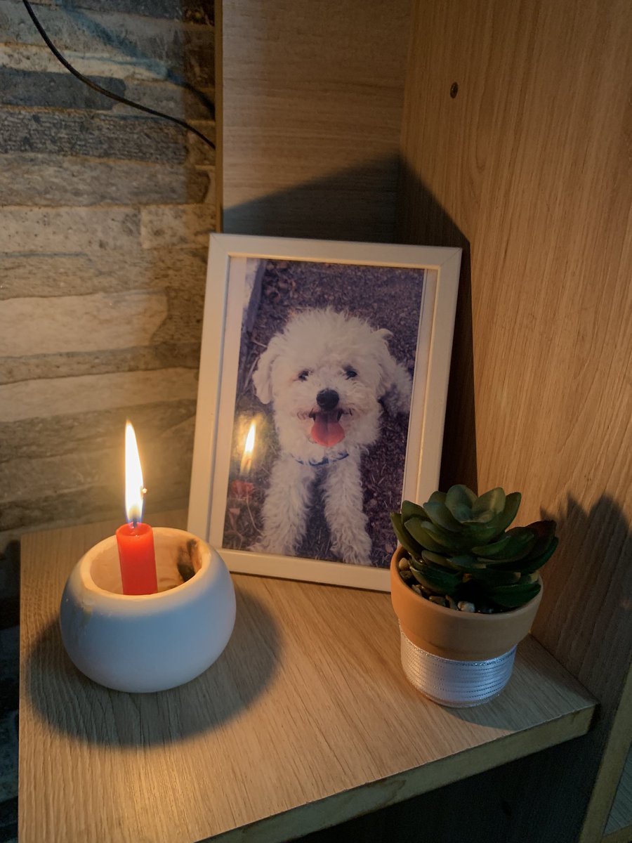 𝔡𝔢𝔩𝔣𝔦𝔦. ☽ tweet media