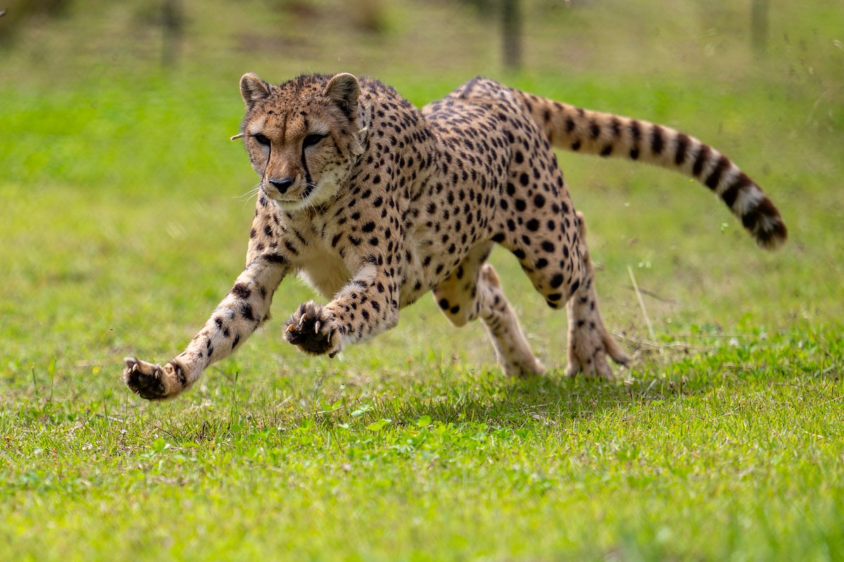 空白寺 tweet media