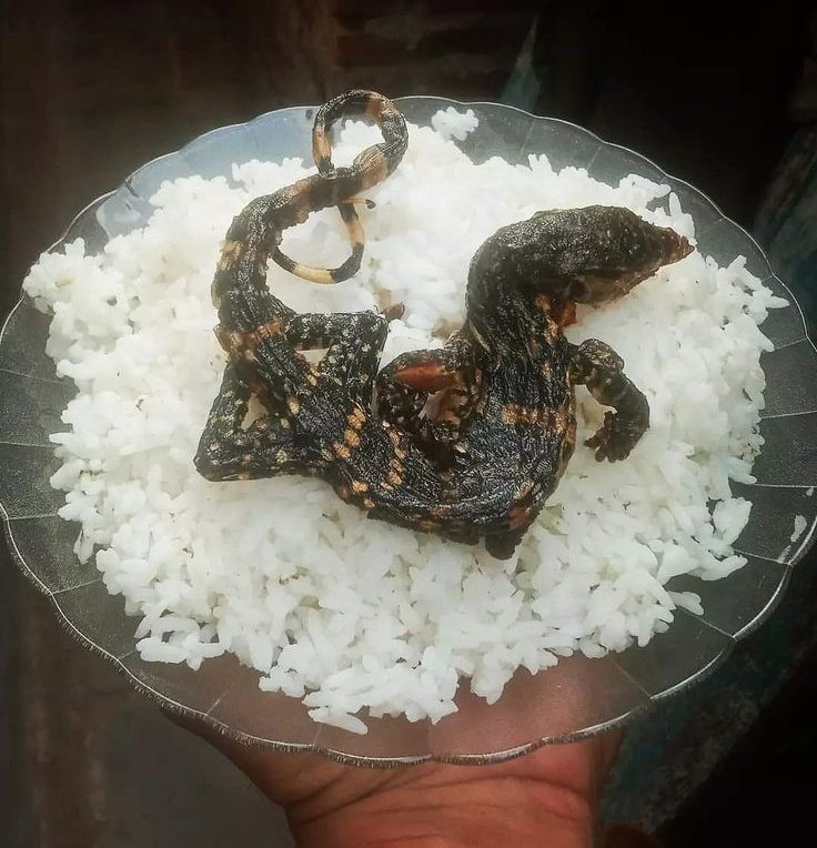 DME 🇳🇦 tweet media