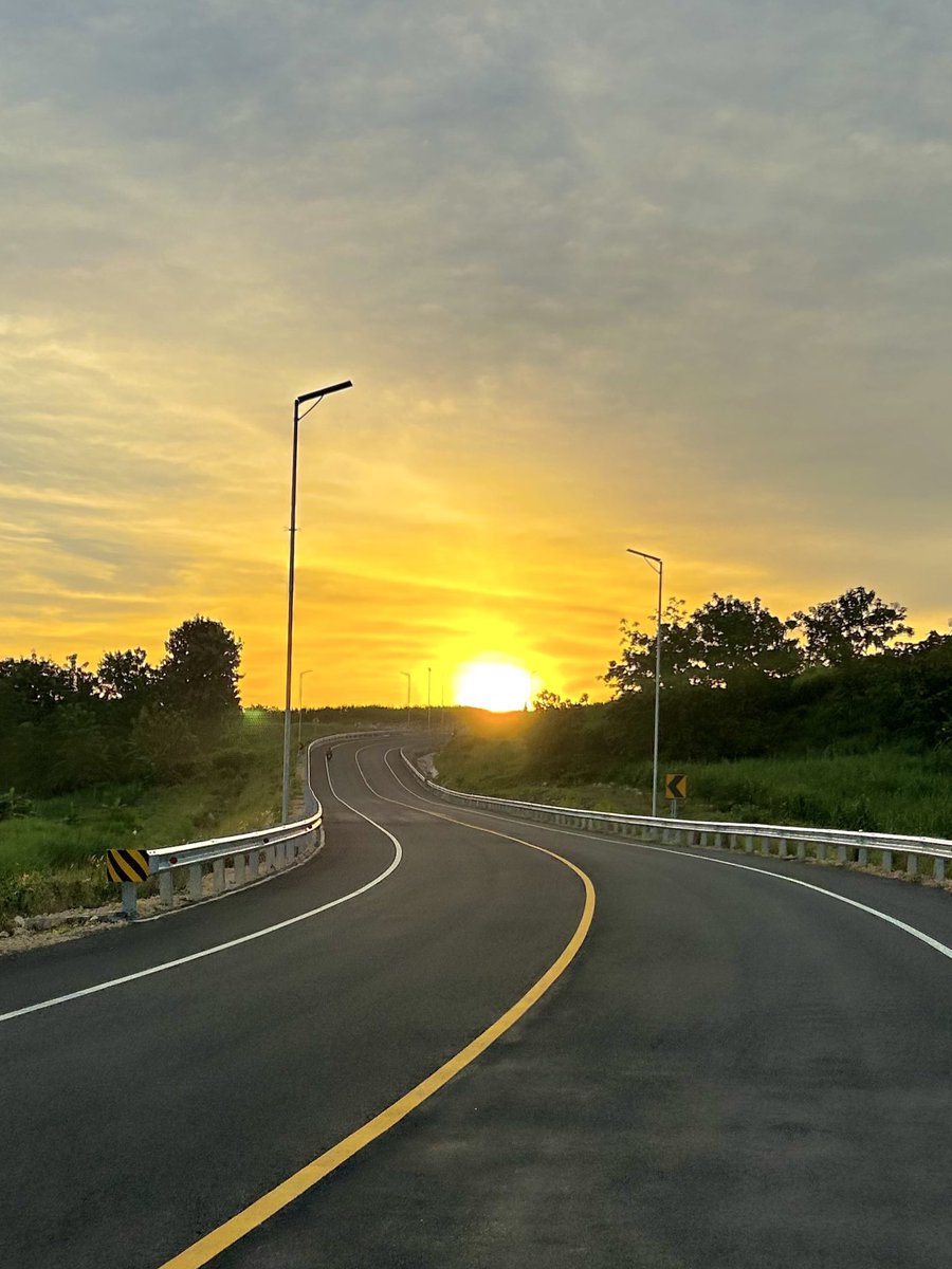 🐻🐻 tweet media