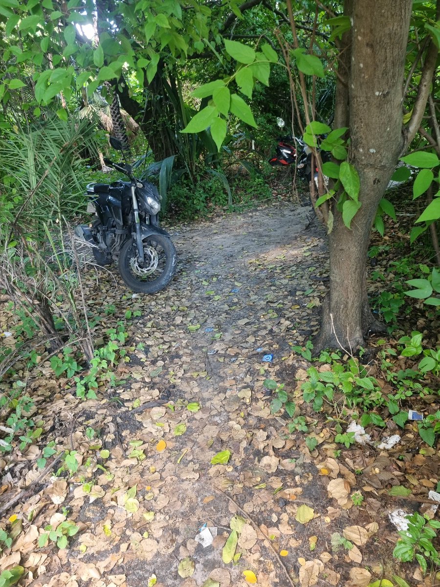 Motoboy CE tweet media