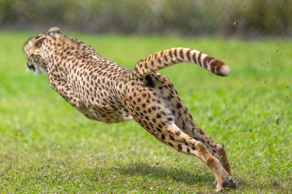 空白寺 tweet media