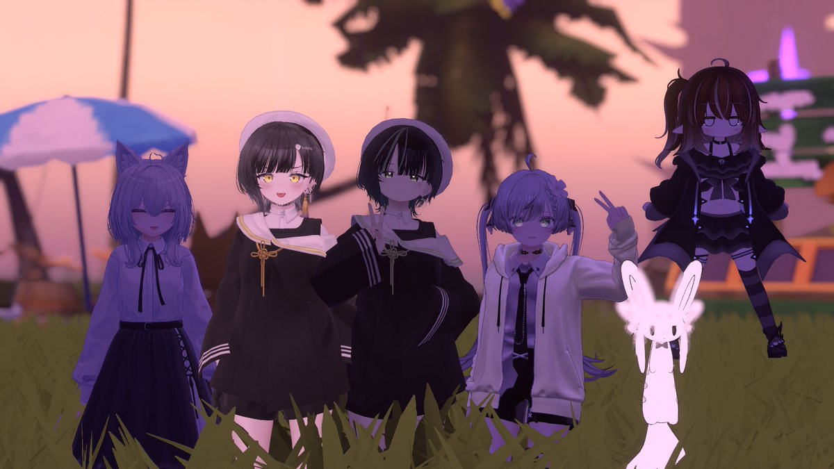 ディヴォ tweet media