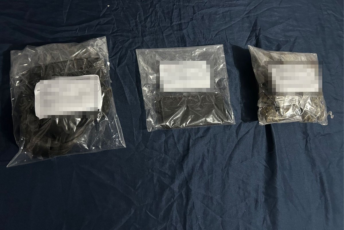 SSC_QROO tweet media