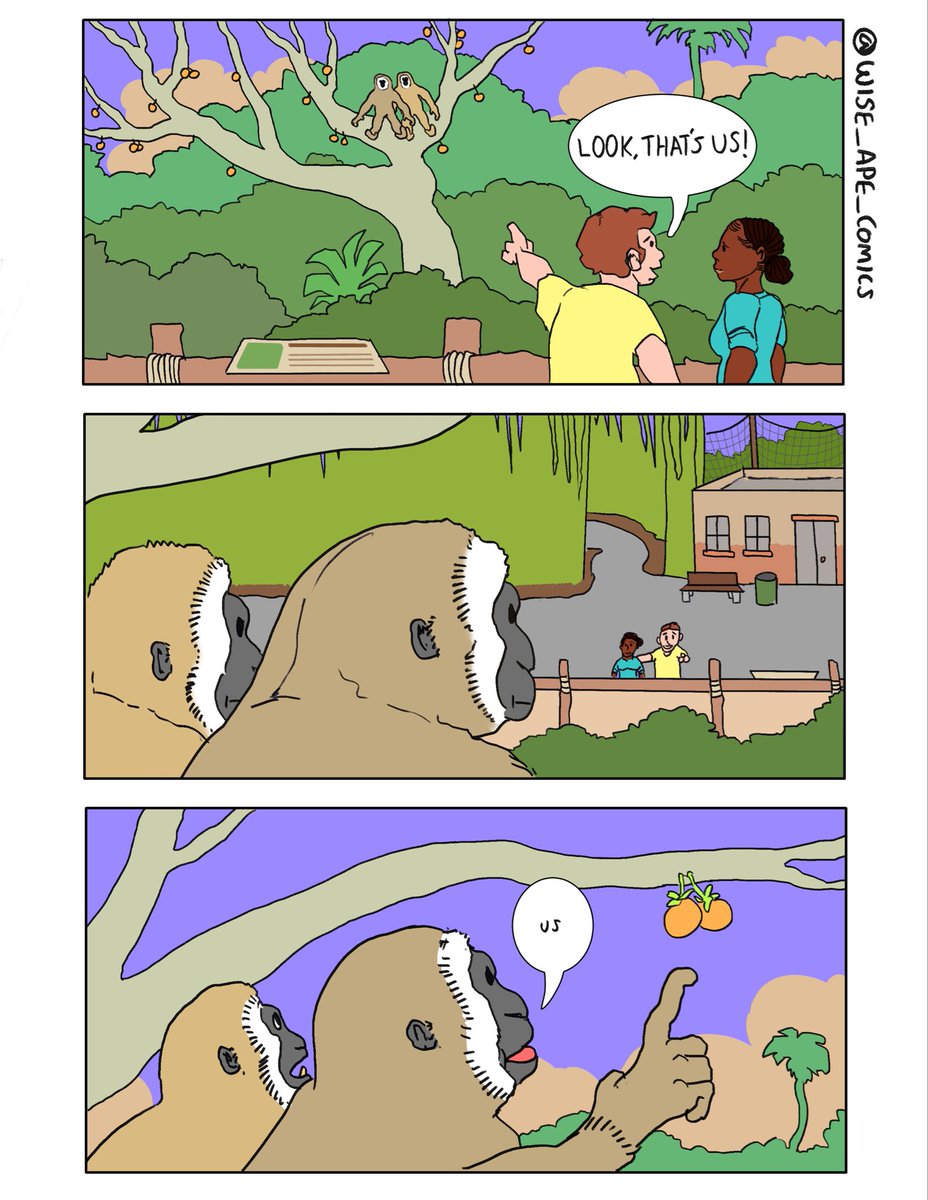 Wyatt-Andrews-Workshop tweet media