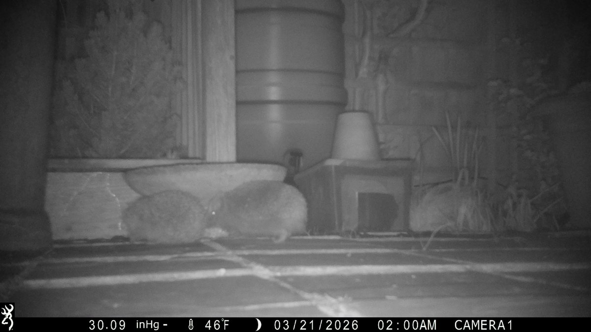 David Turner tweet media