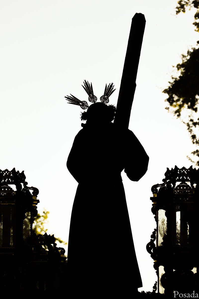 Diego Posada Quintero tweet media