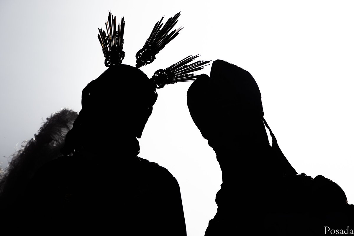 Diego Posada Quintero tweet media