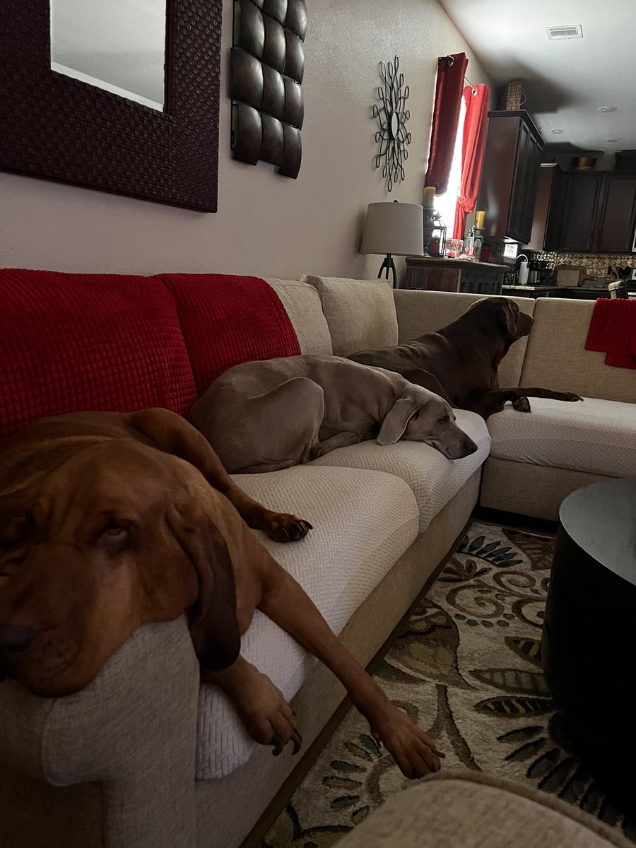 Tracey Vavrin tweet media