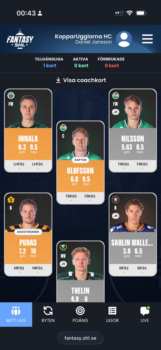 KopparUgglorna tweet media