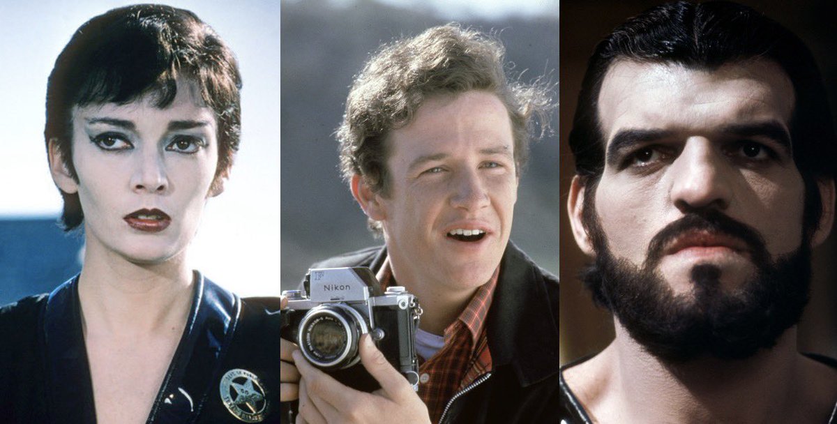 The Moonlight Warrior 🌙 tweet media