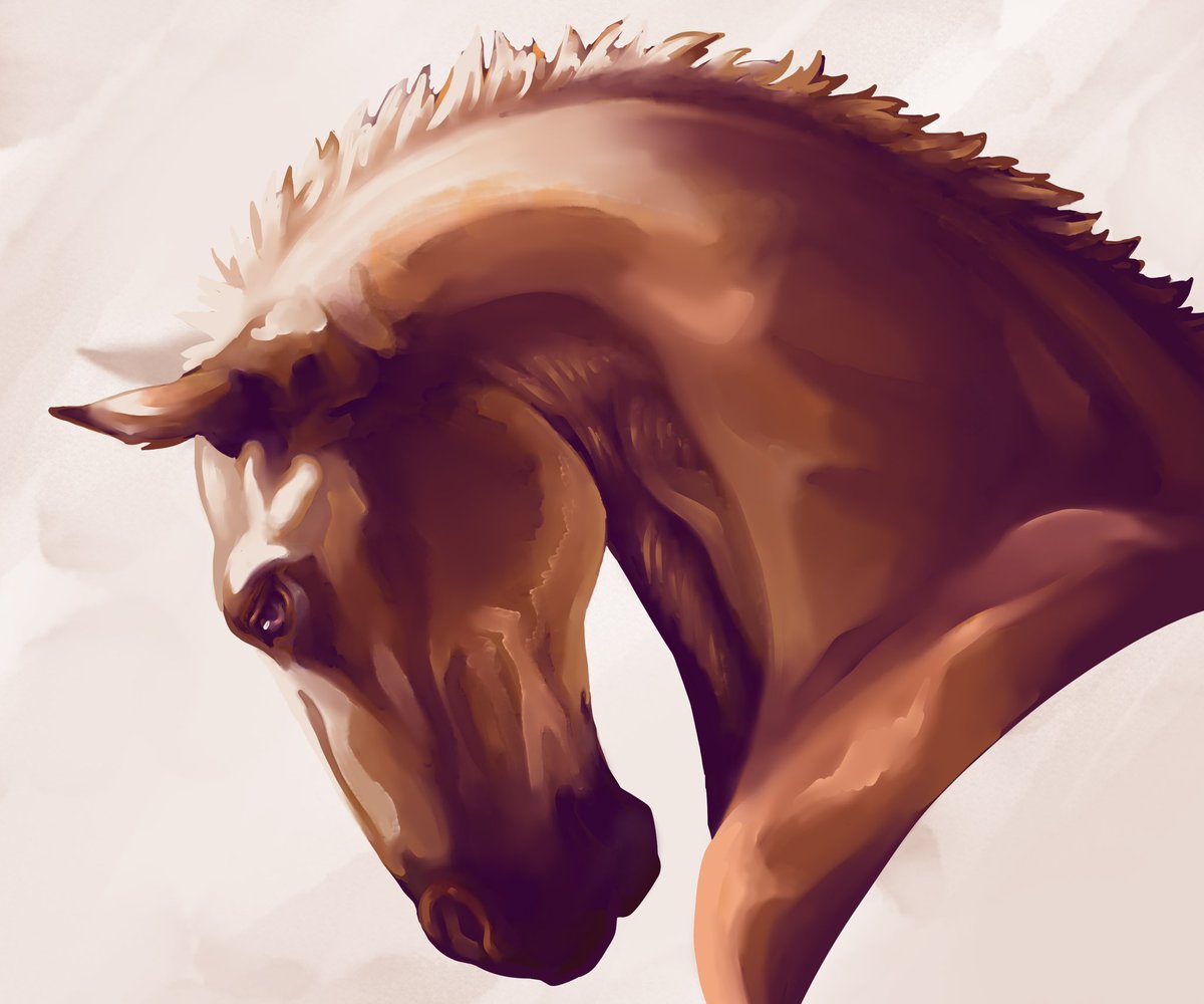 𝔢𝔳𝔞 ♰ 𓃹 tweet media