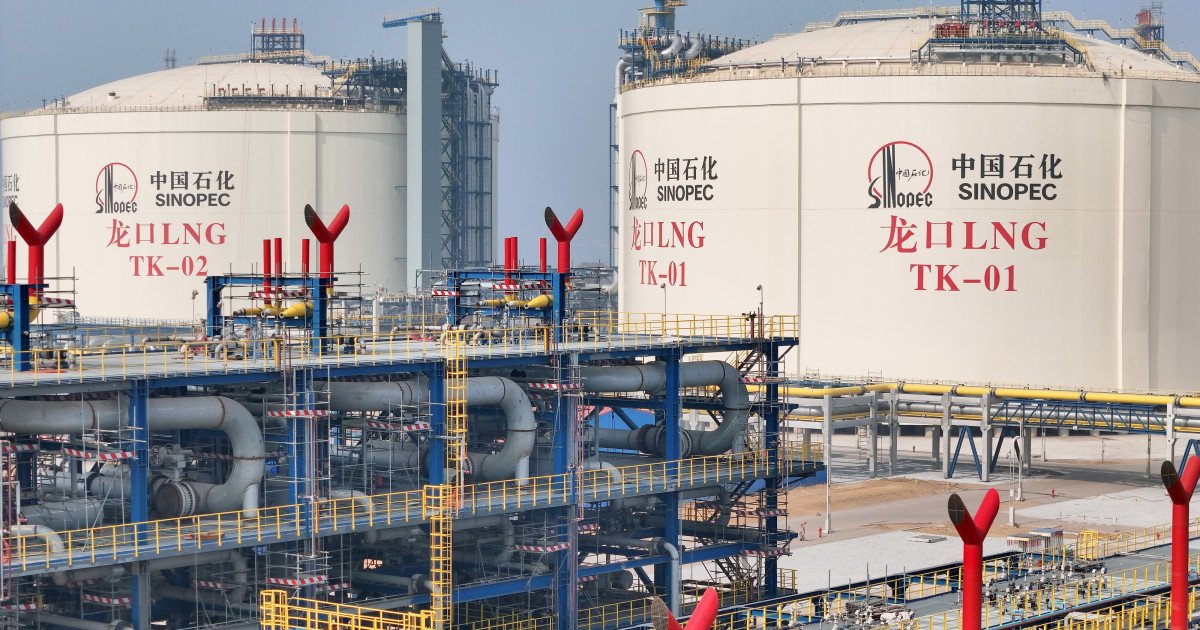 Jack Prandelli tweet media