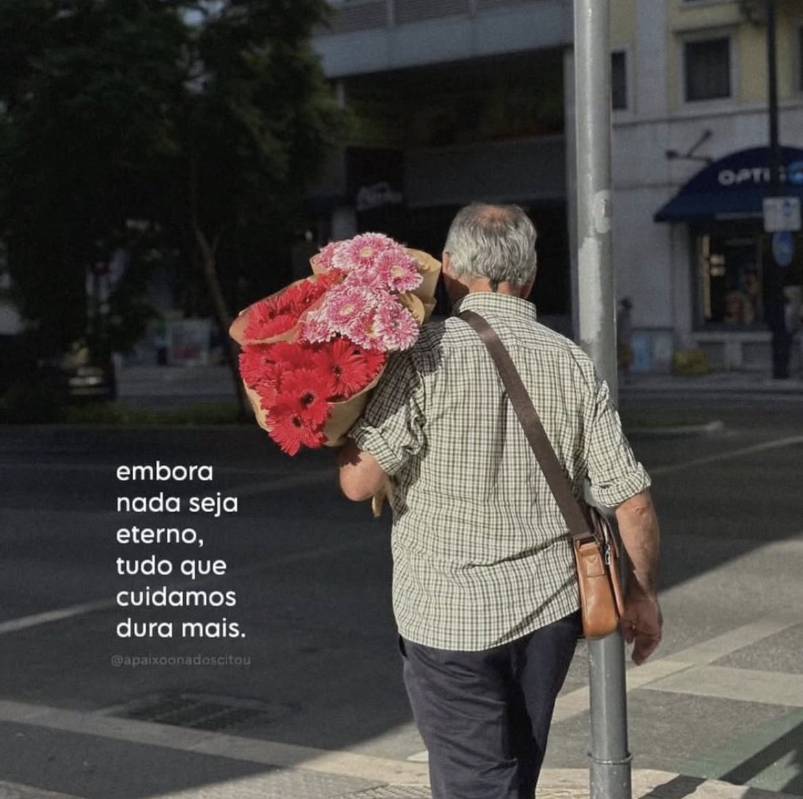 365 versos tweet media