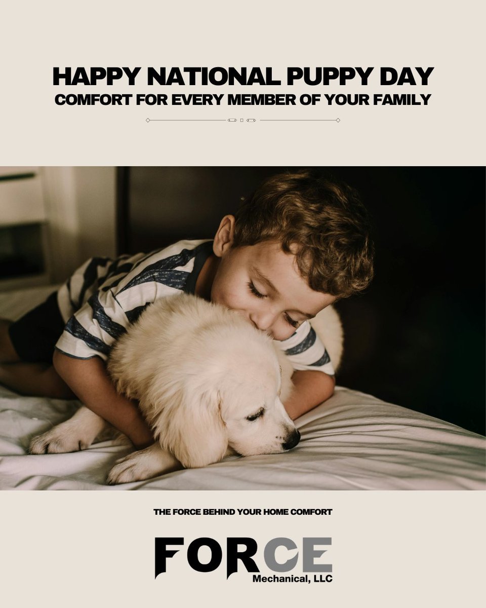 FORCE MECHANICAL LLC tweet media