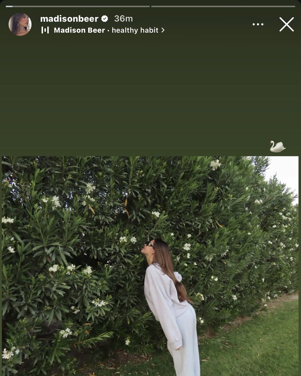 juju 🦌 tweet media