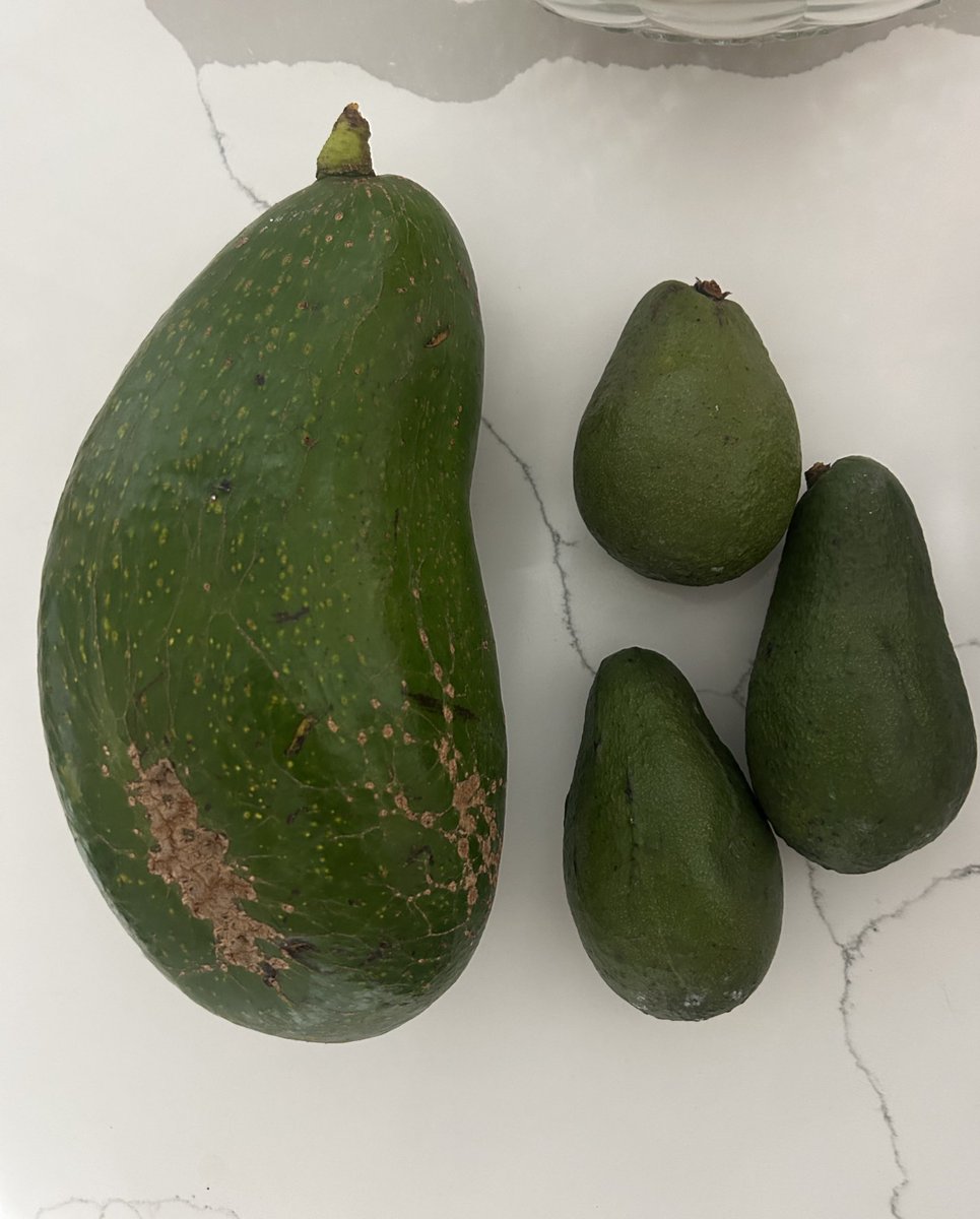 Liewe Heksie tweet media