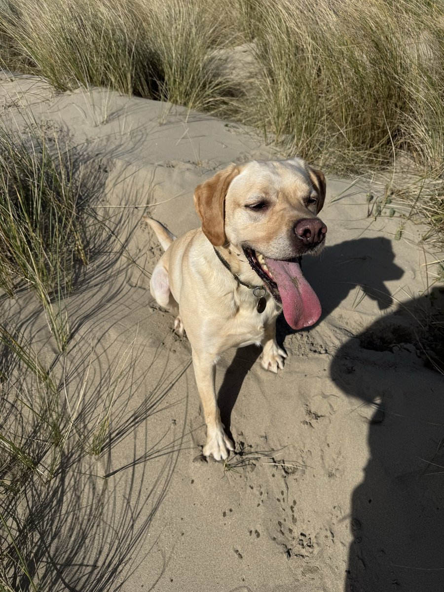 Hefin Richards tweet media