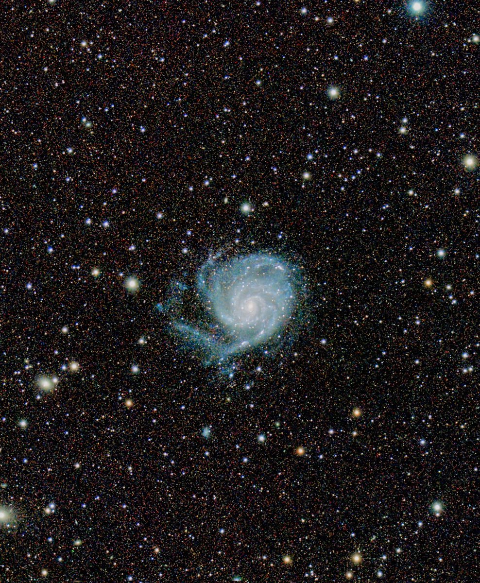 Viu Mobile tweet media