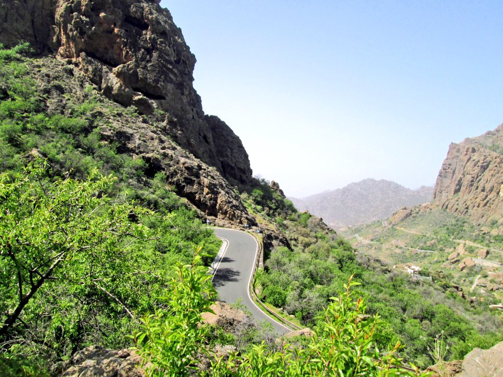 1001puertos tweet media