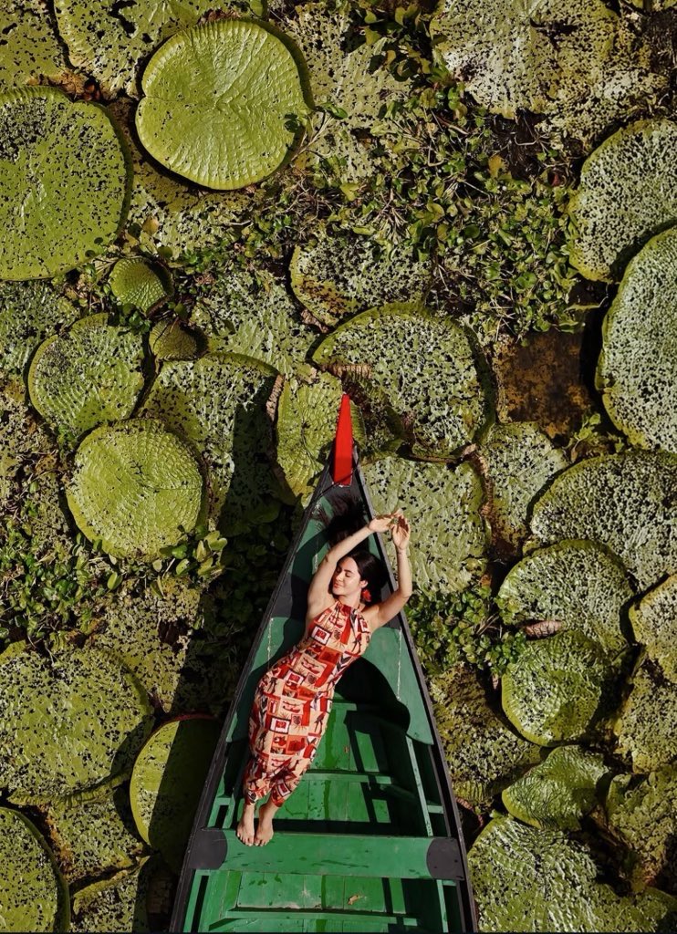 Central Isabelle Nogueira tweet media