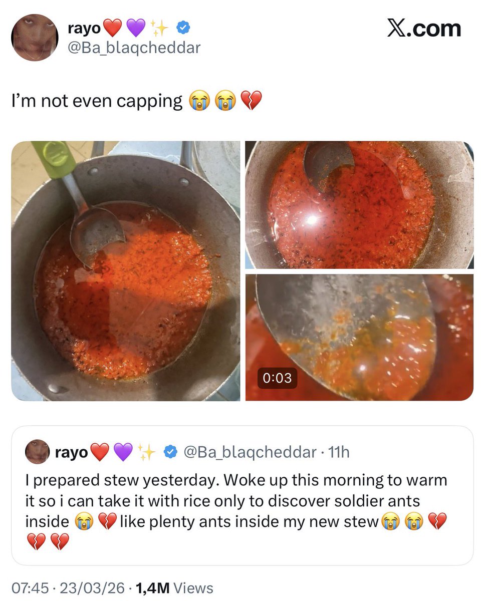 Harry Da Diegot tweet media