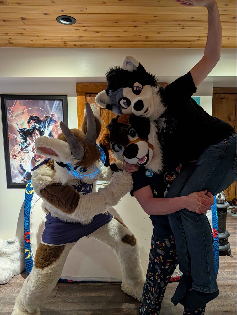 Tommysalami tweet media