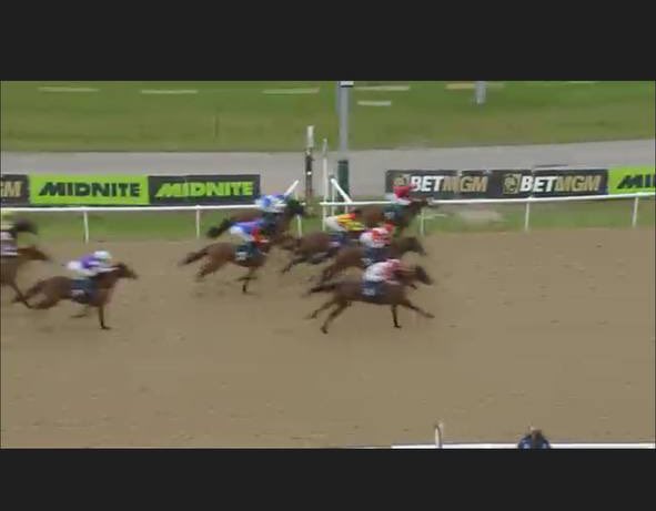 BBB365 Sports tweet media