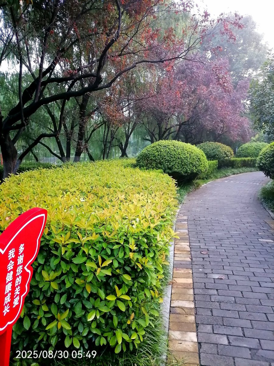 Ram Kumar tweet media