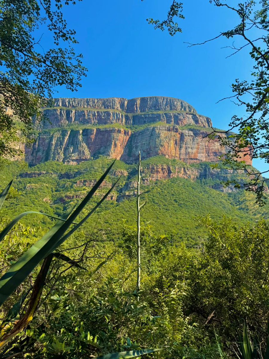 Swadini, A Forever Resort tweet media