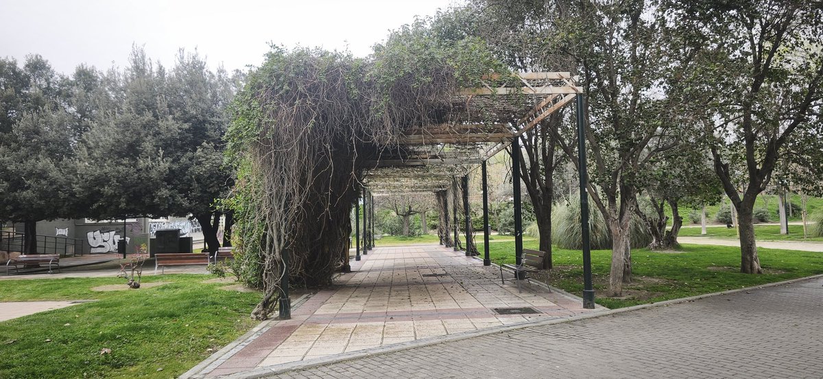 Pinto Existe tweet media