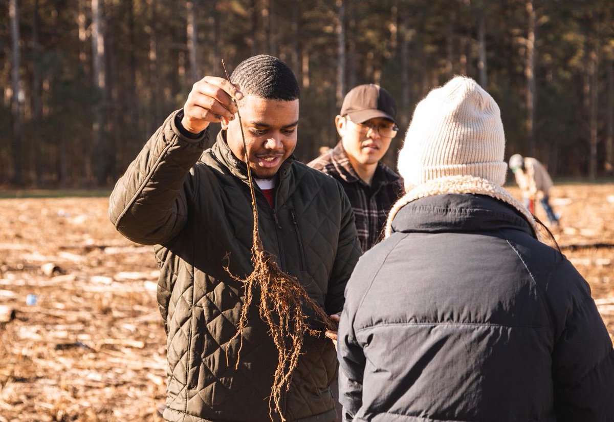 Qcells North America tweet media