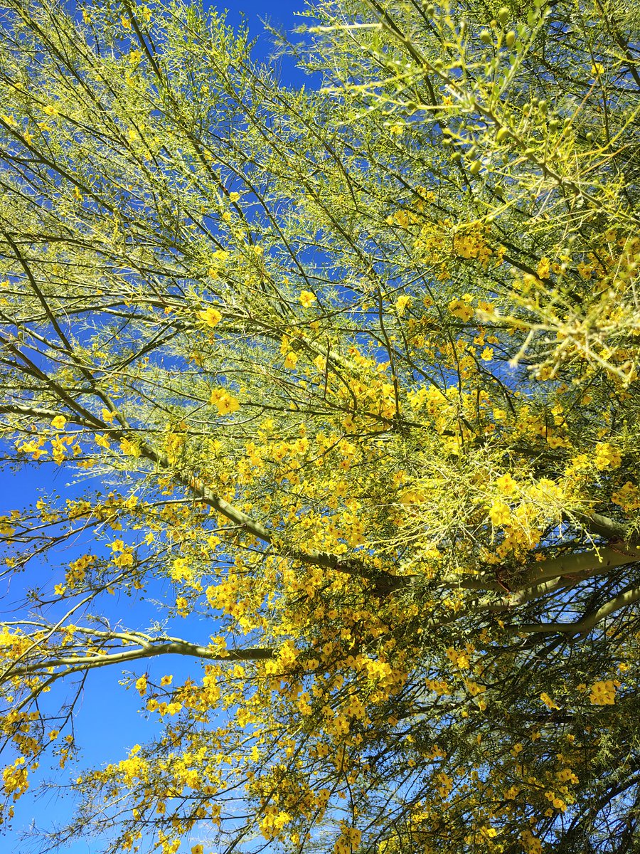 Sam Woolf (Life of a Military Wife) tweet media